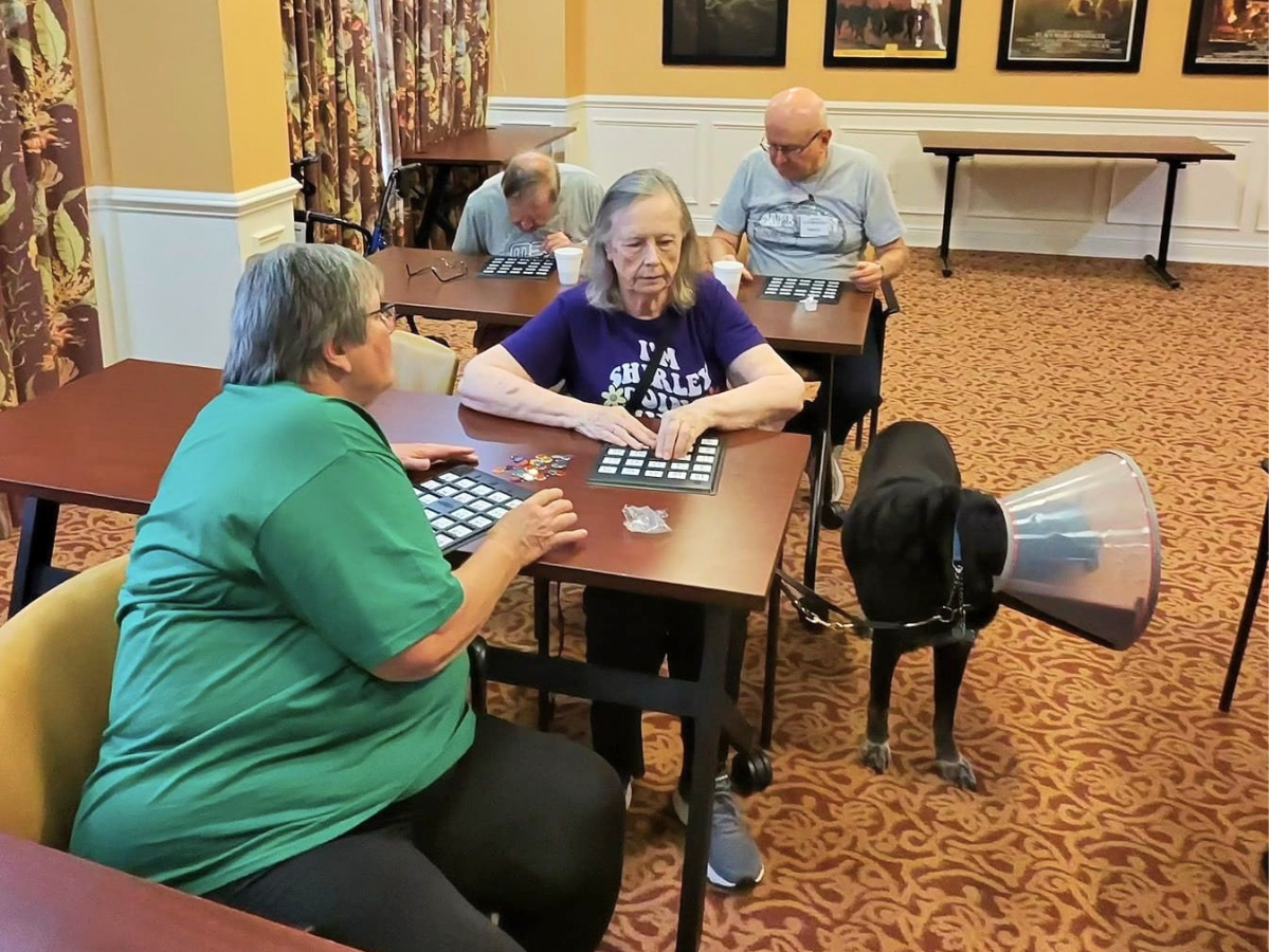 Seniors participate in an adaptive board game event using accessible game materials designed for people with low vision and blindness.